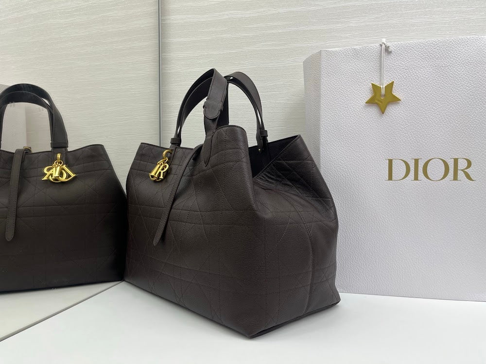 Ezyycart Bags Diorn Luxury Bag --115386