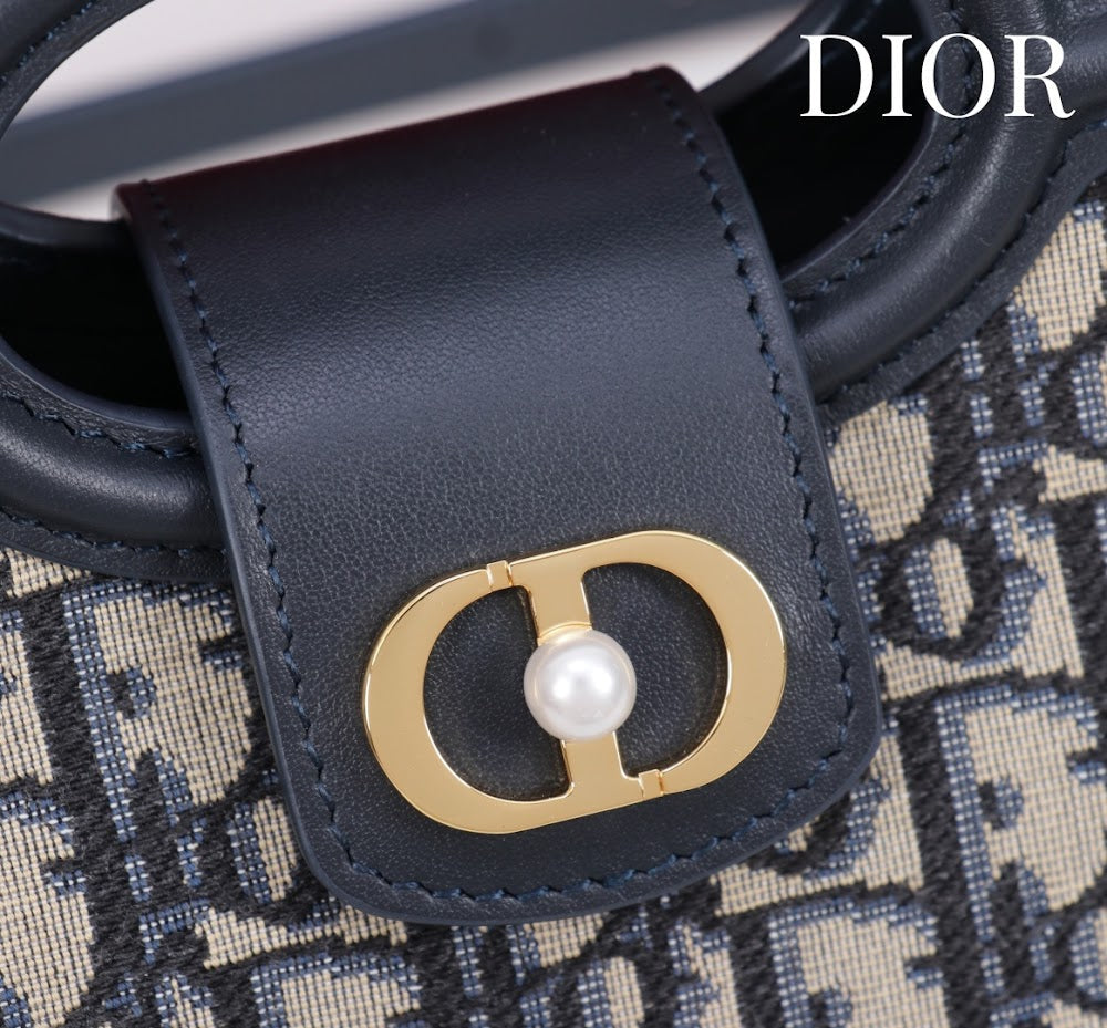 Anum Bags Diorn Luxury Bag --114560