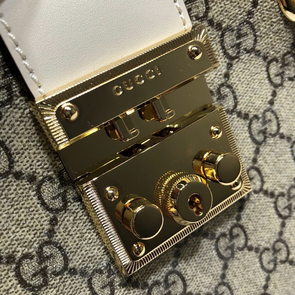 Ezyycart Bags Guccin Luxury Bag --95489
