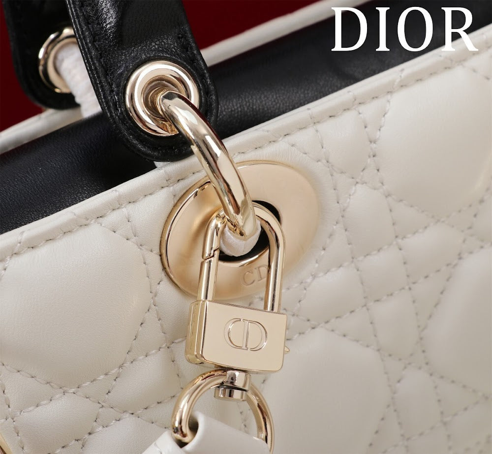 Anum Bags Diorn Luxury Bag --114845