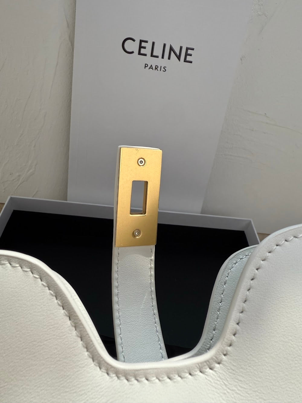 Ezyycart Bags Celine Luxury Bag --112433