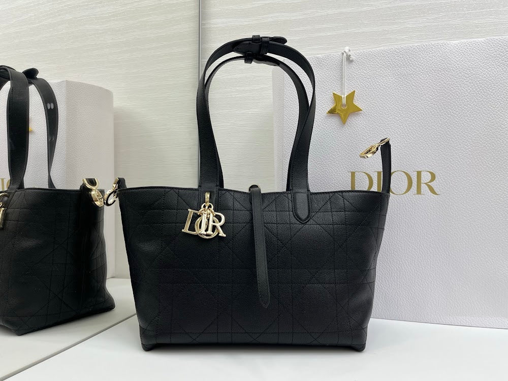 Ezyycart Bags Diorn Luxury Bag --115389