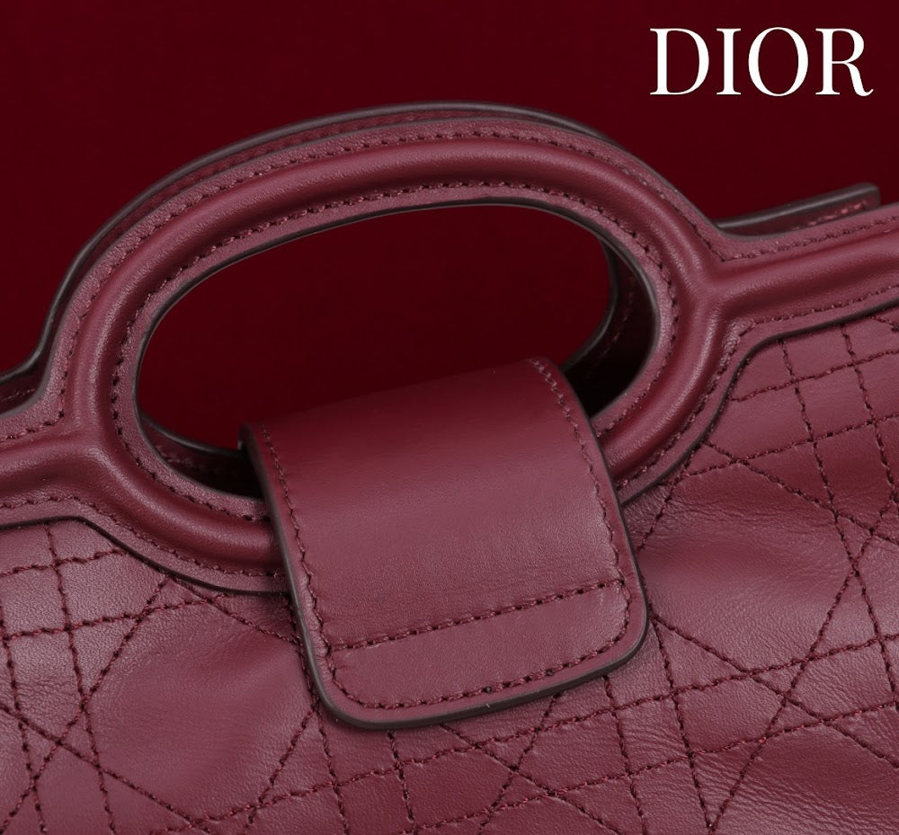 Anum Bags Diorn Luxury Bag --114561