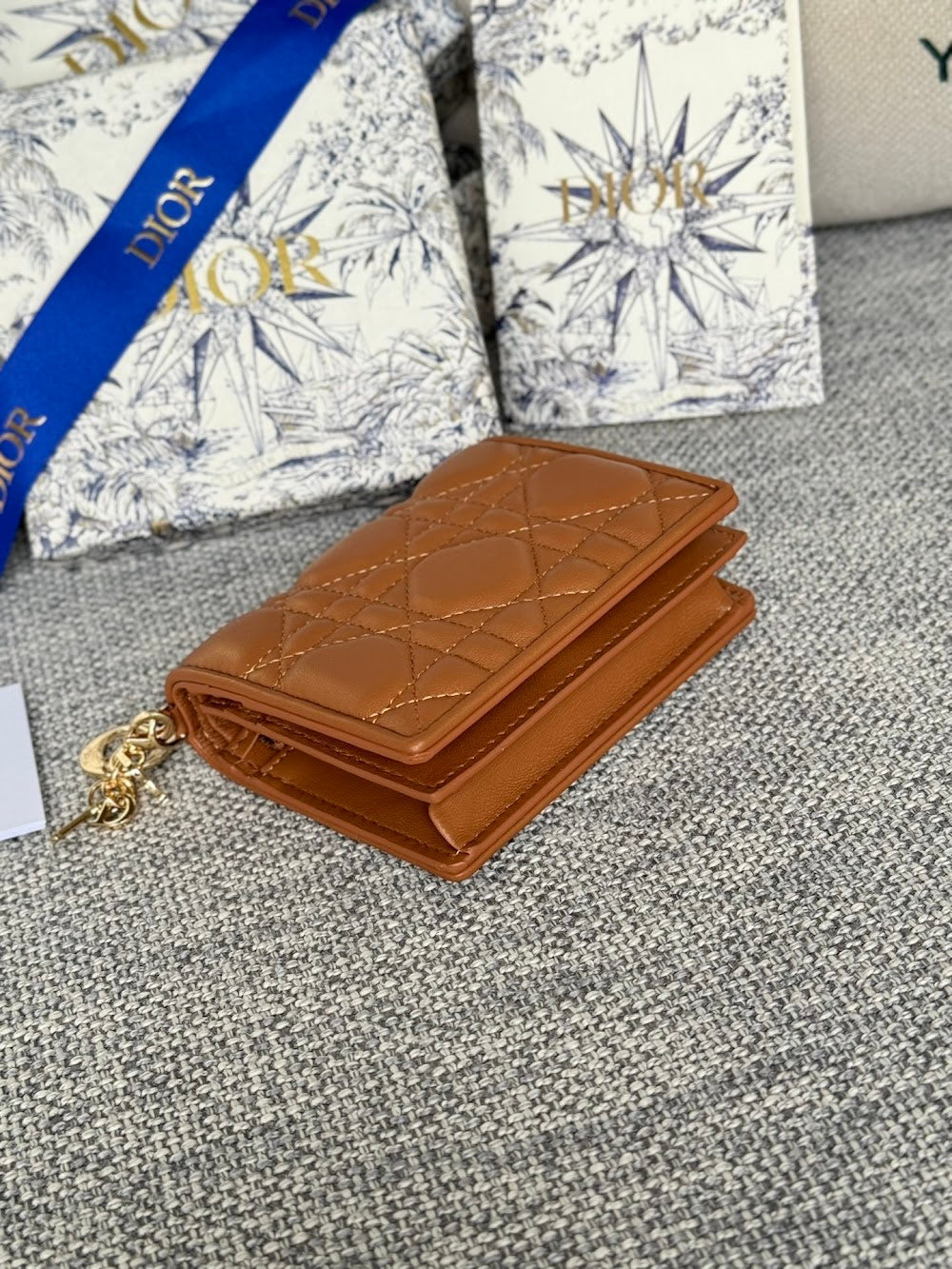 Ezyycart Bags Diorn Luxury Bag --115225