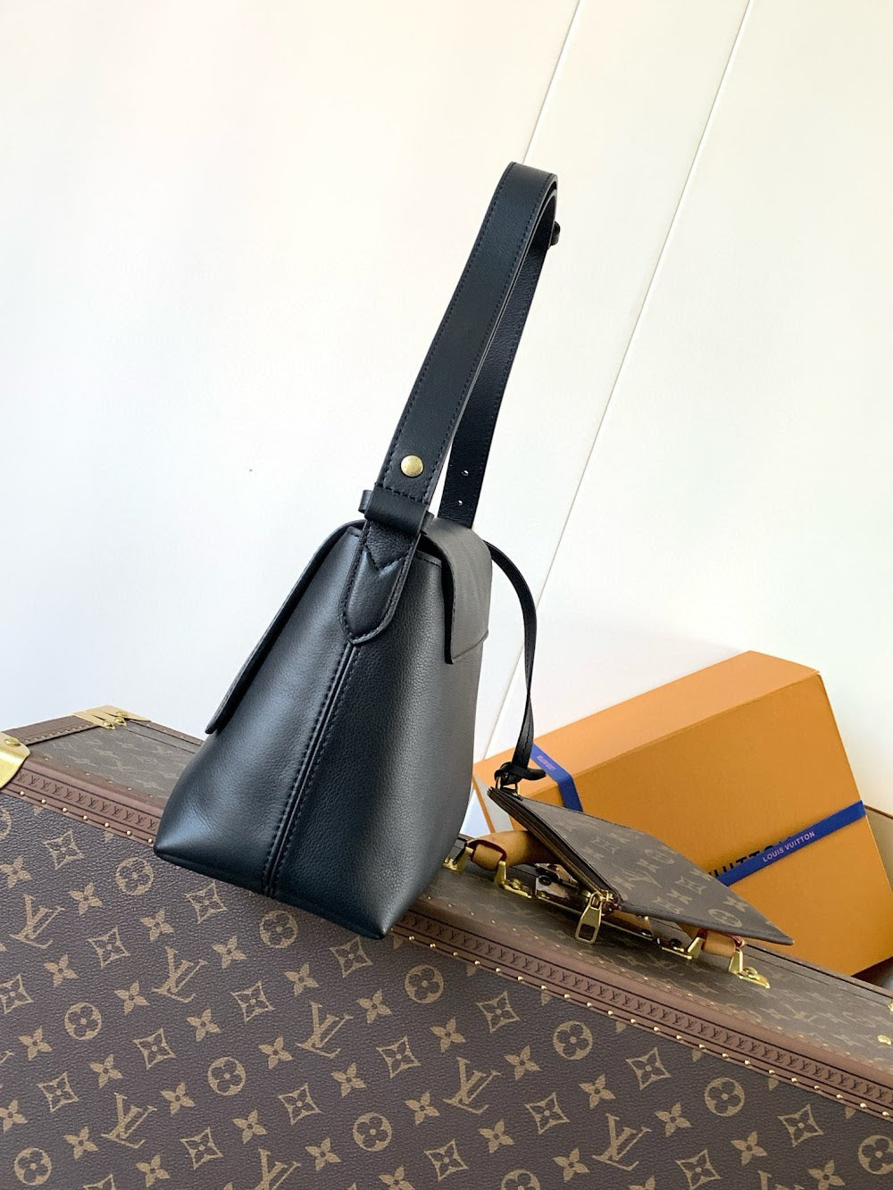 Anum Bags LVn Luxury Bag --79968