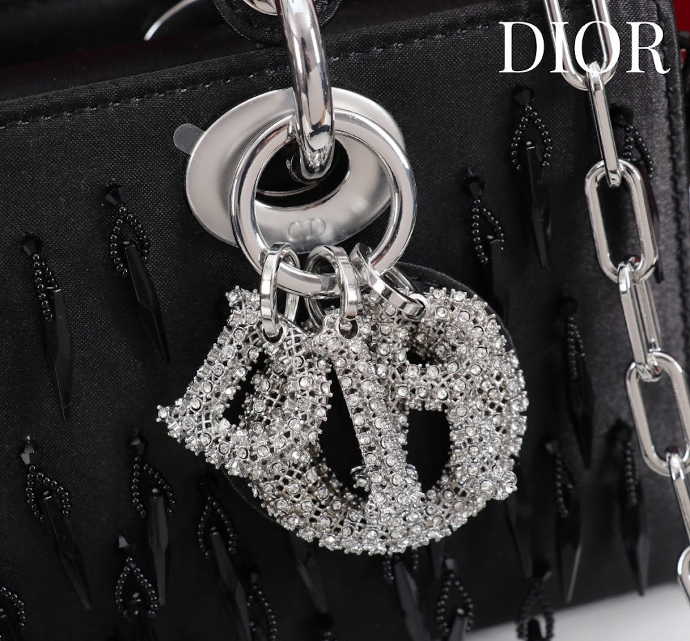 Anum Bags Diorn Luxury Bag --114706