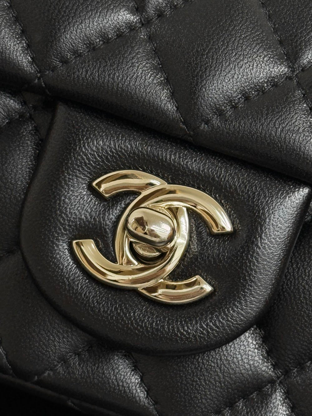 Anum Bags CHn Luxury Bag --113718
