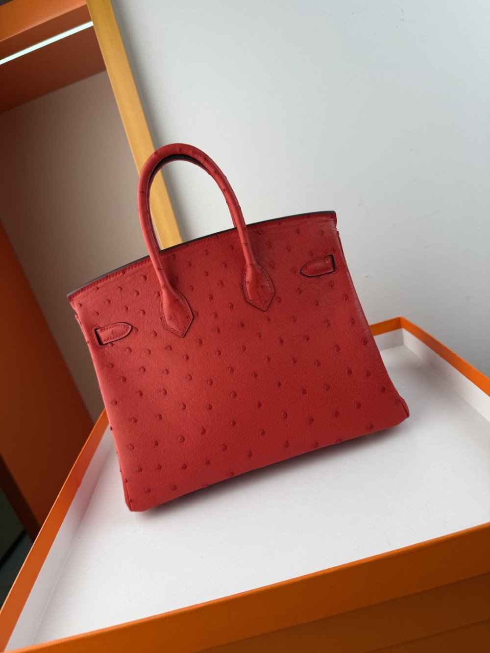 Anum Bags Hermesn Luxury Bag --116768