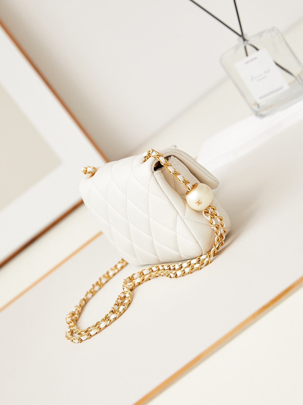 new-designer-premium-bags-nm10128