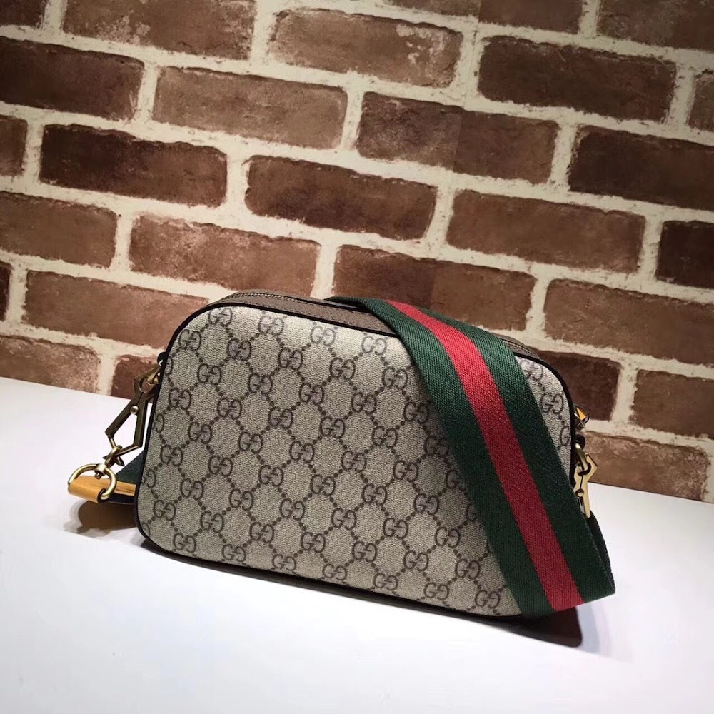 new-luxury-designer-bags-nm17674