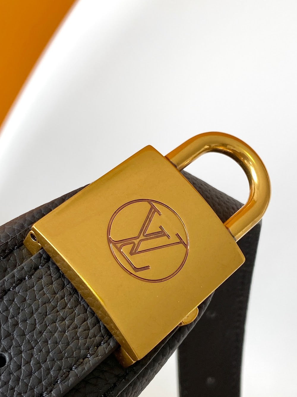 Anum Bags LVn Luxury Bag --80204