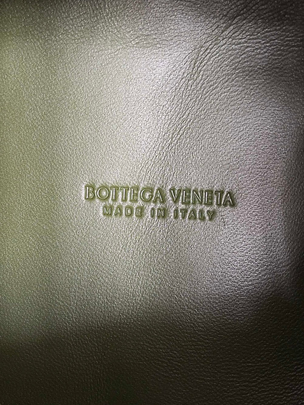 Ezyycart Bags Bottegan Luxury Bag --91100