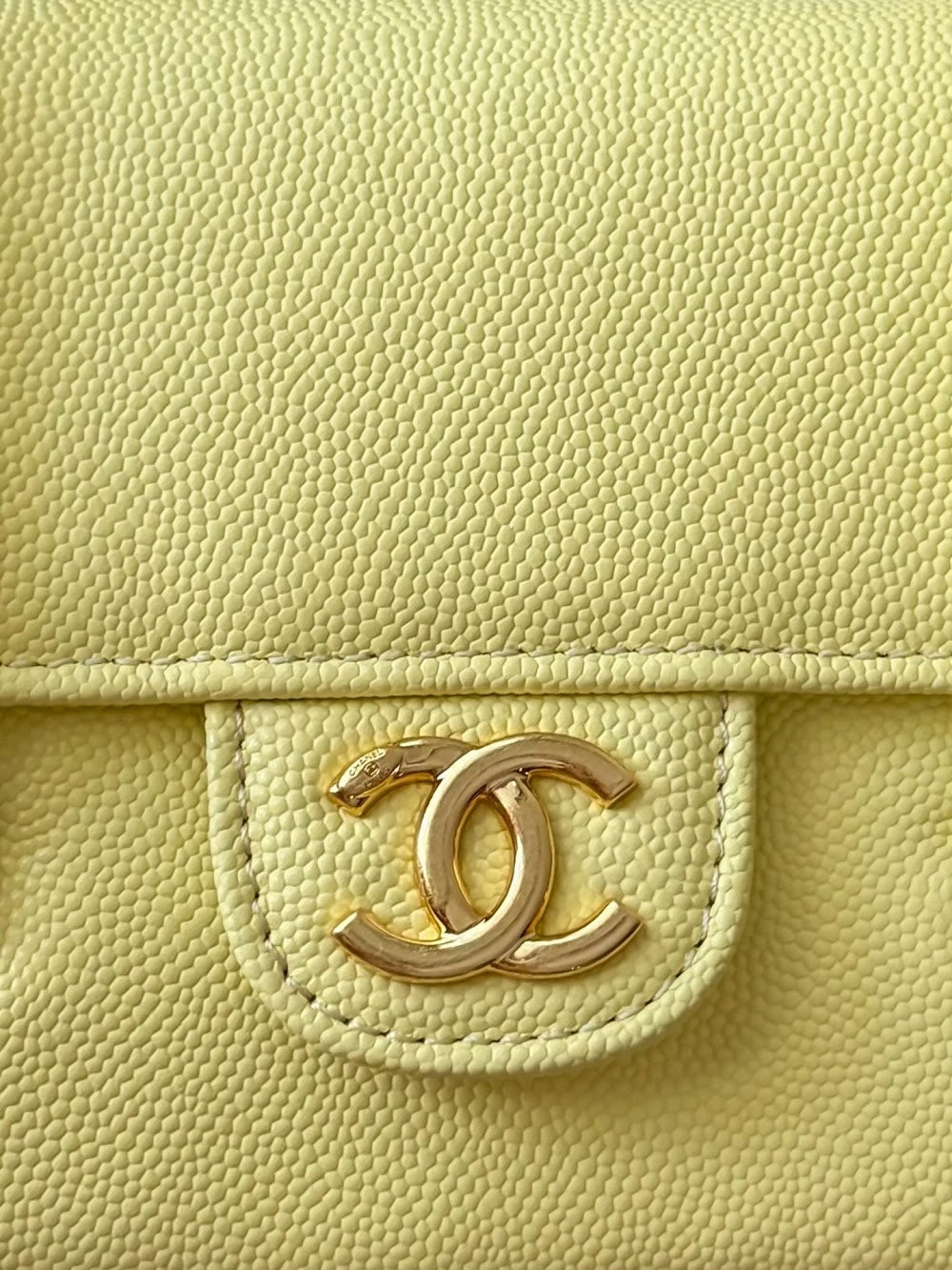 Anum Bags CHn Luxury Bag --114048