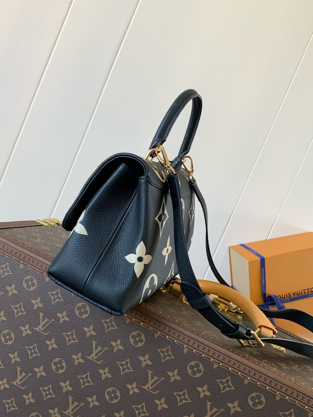 Anum Bags LVn Luxury Bag --79249