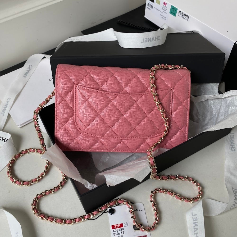 new-luxury-designer-bags-nm20584