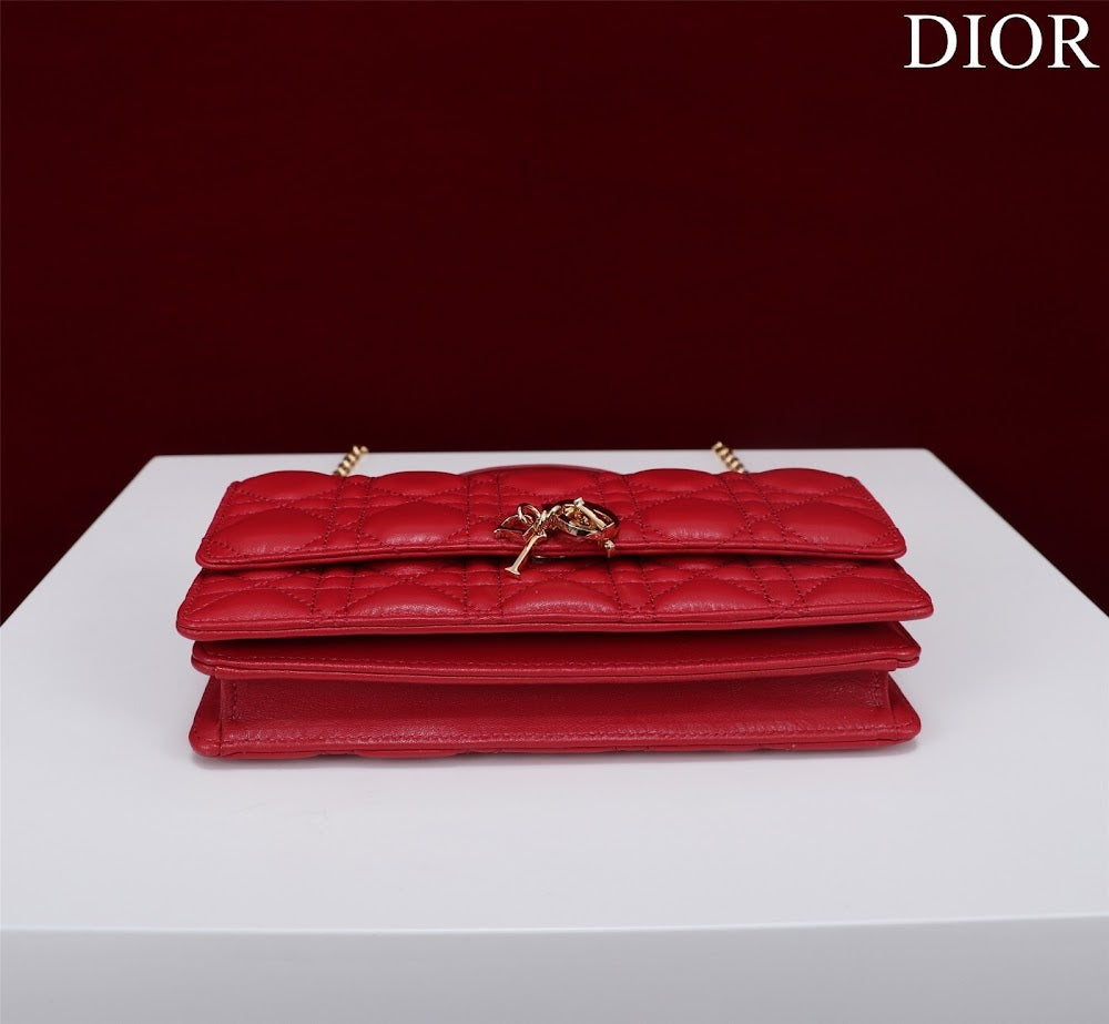Ezyycart Bags Diorn Luxury Bag --116231
