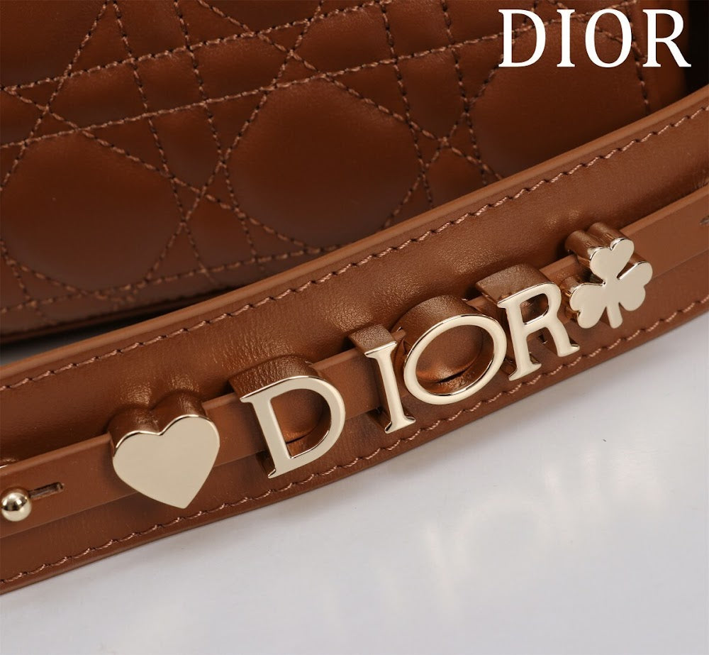 Ezyycart Bags Diorn Luxury Bag --115922