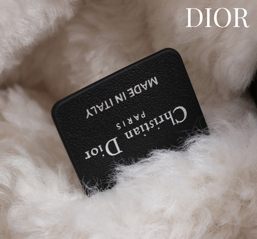 Anum Bags Diorn Luxury Bag --114886