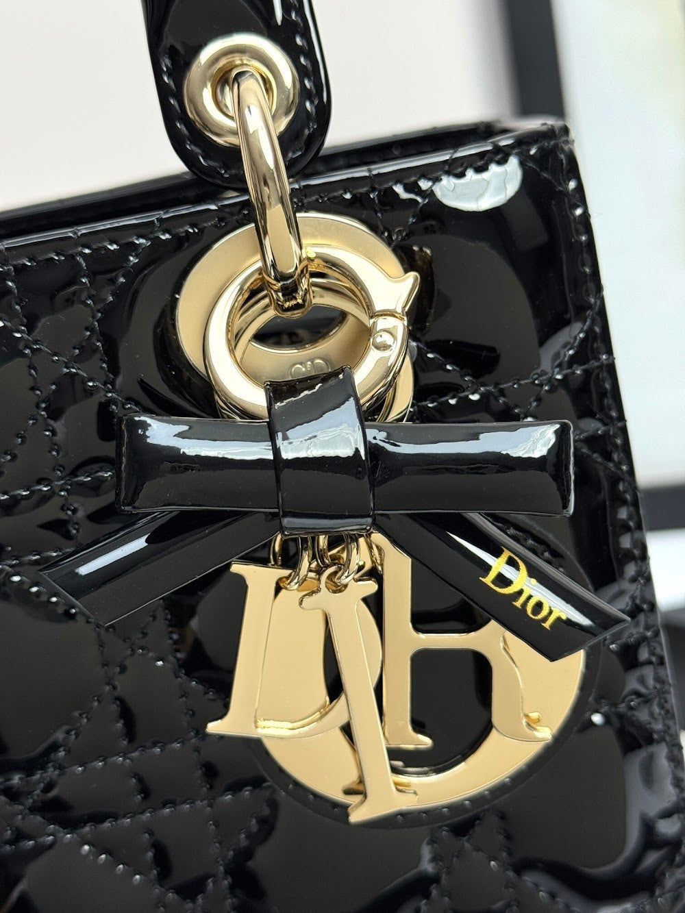 Anum Bags Diorn Luxury Bag --114944