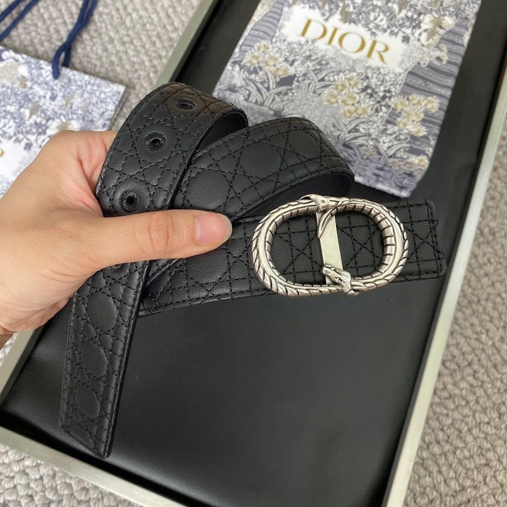 Anum Bags Diorn Luxury Belt --104899