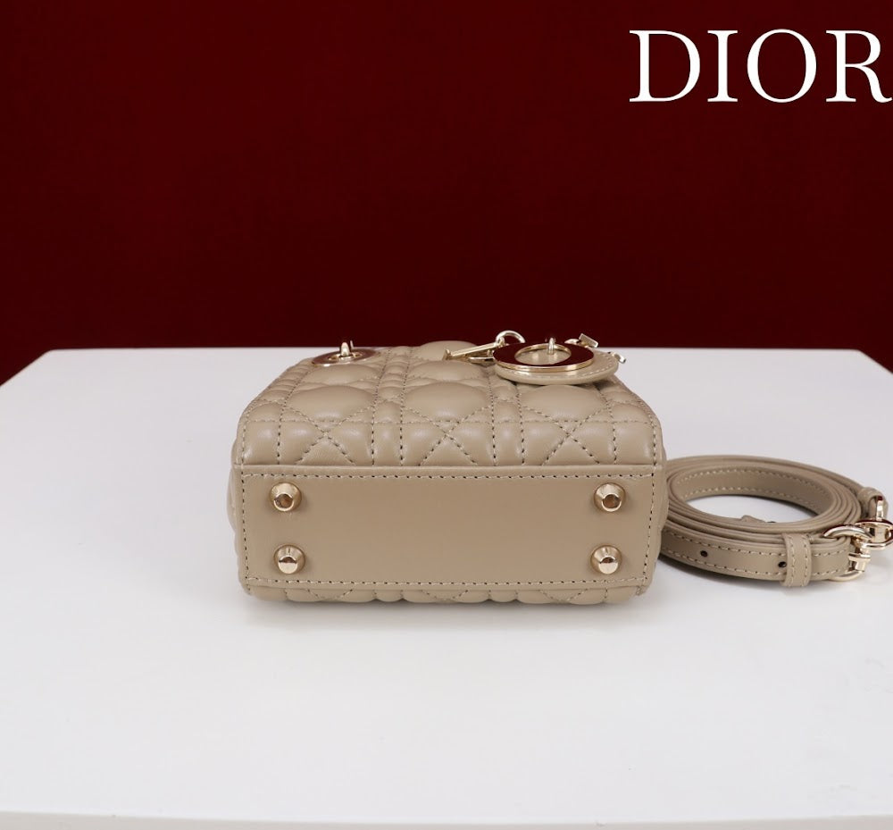 Ezyycart Bags Diorn Luxury Bag --116372
