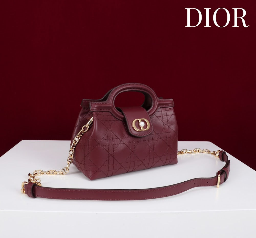 Anum Bags Diorn Luxury Bag --114561