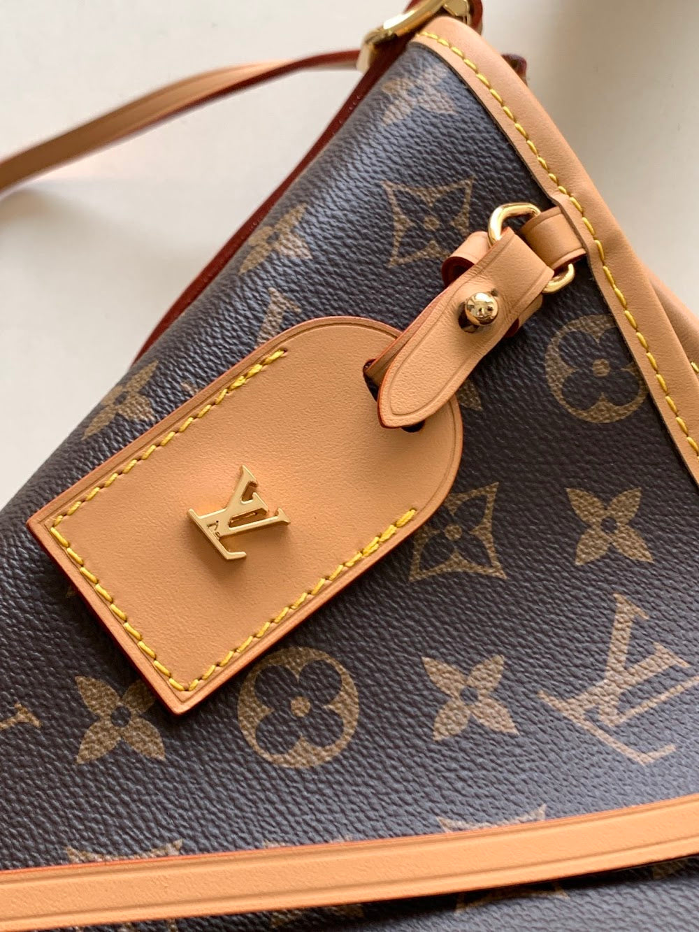 Anum Bags LVn Luxury Bag --81159