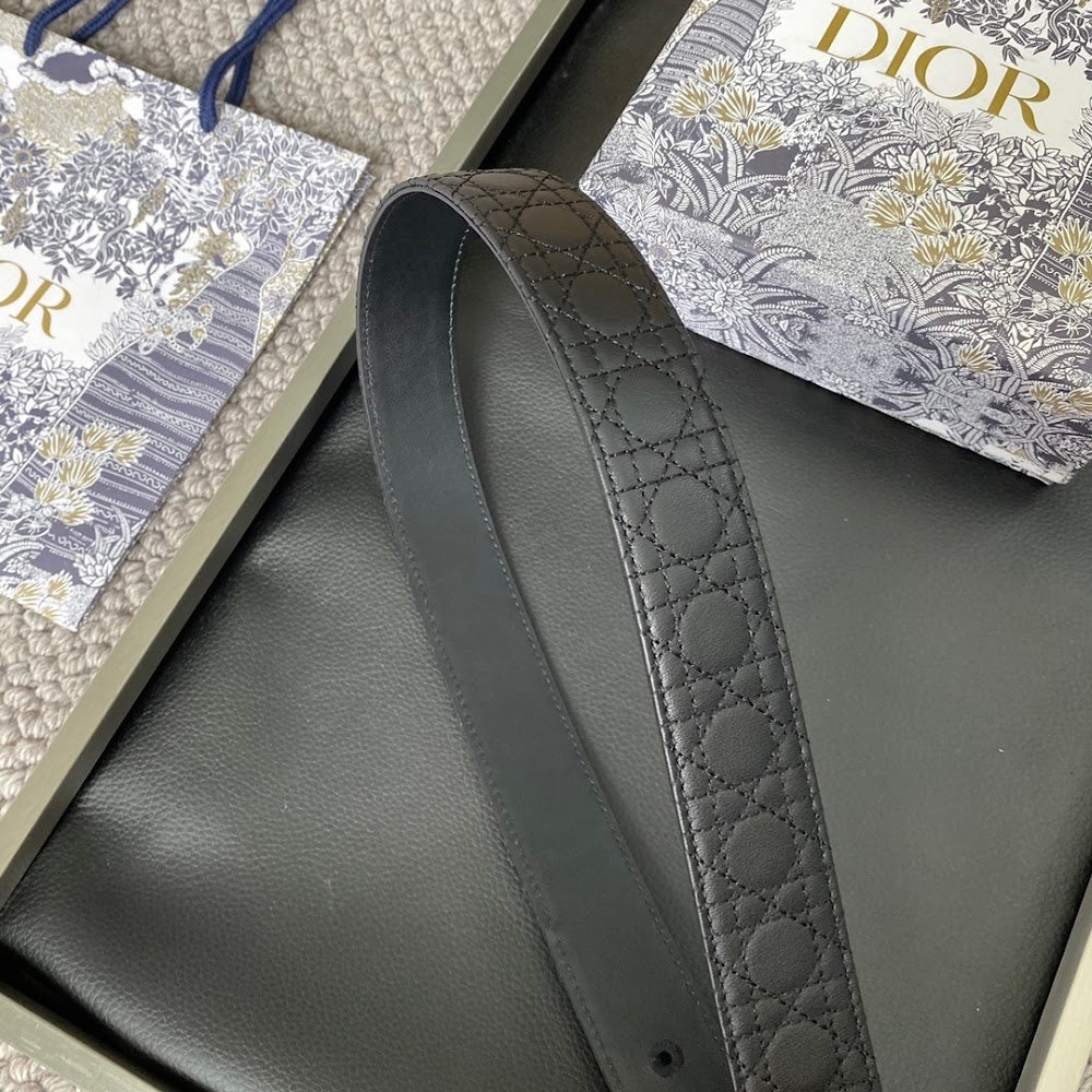 Anum Bags Diorn Luxury Belt --104899