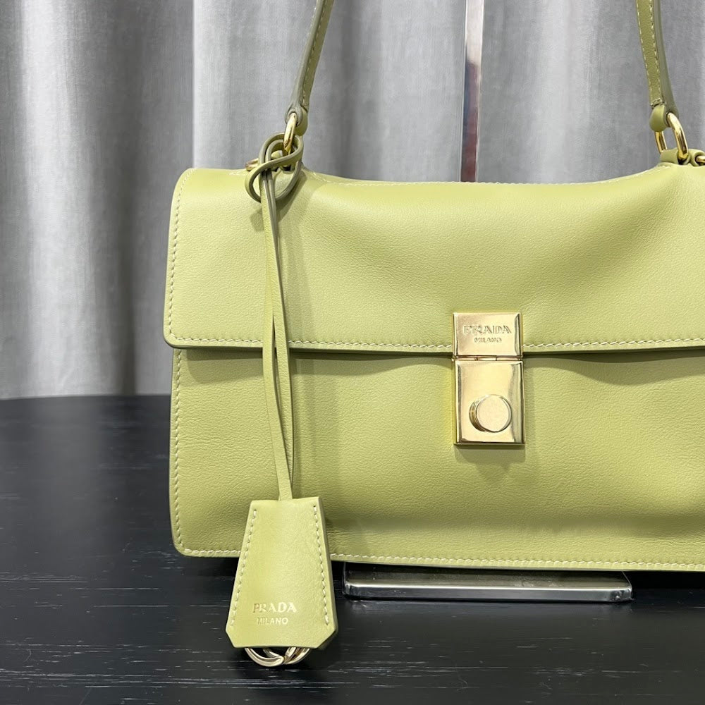 Ezyycart Bags Pradn Luxury Bag --101810