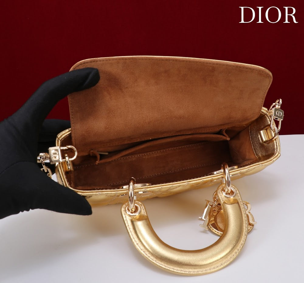 Anum Bags Diorn Luxury Bag --114717
