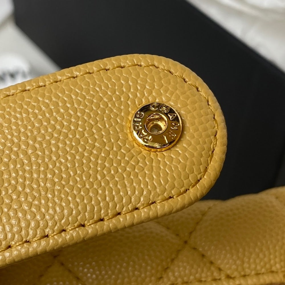 new-luxury-designer-bags-nm10103