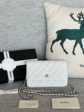 new-luxury-designer-bags-nm19864