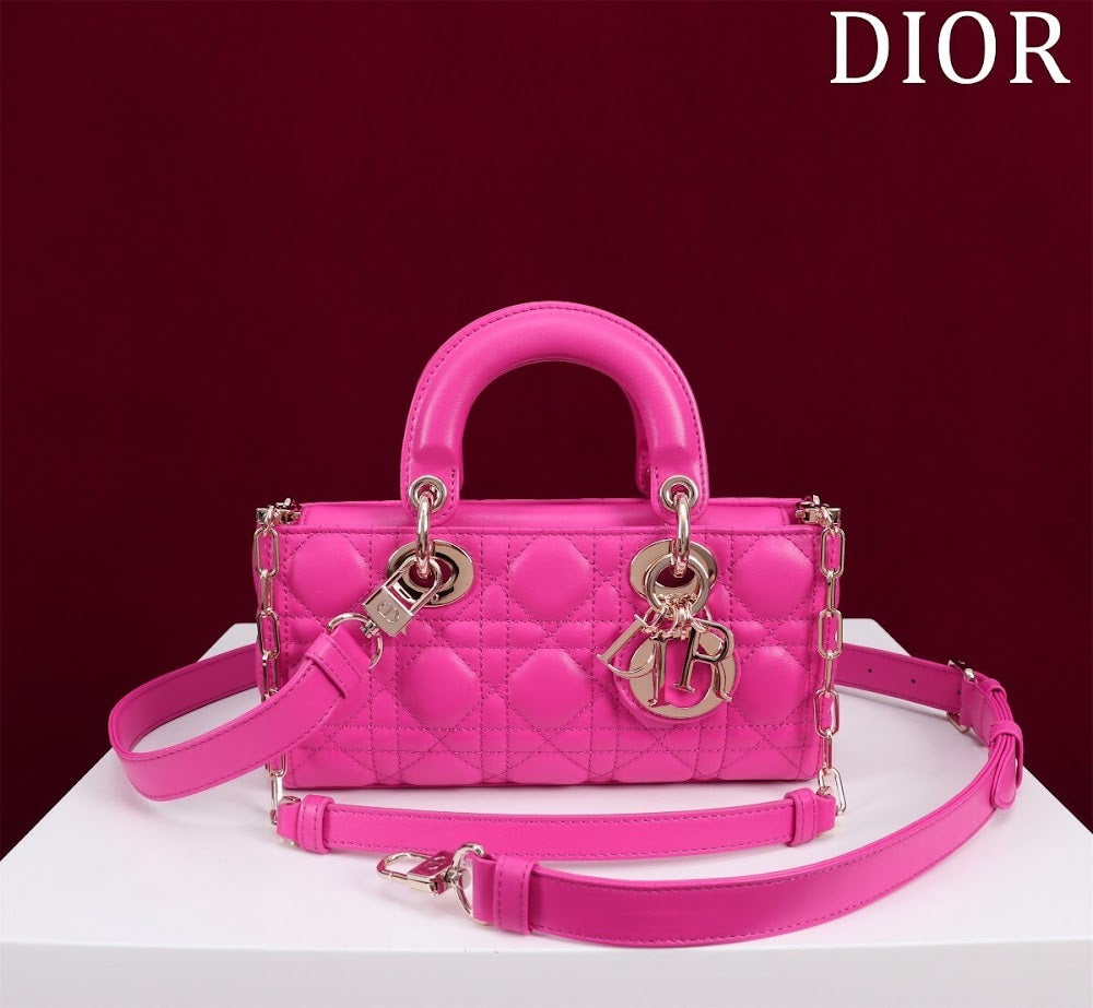 Anum Bags Diorn Luxury Bag --114776