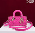 Anum Bags Diorn Luxury Bag --114776