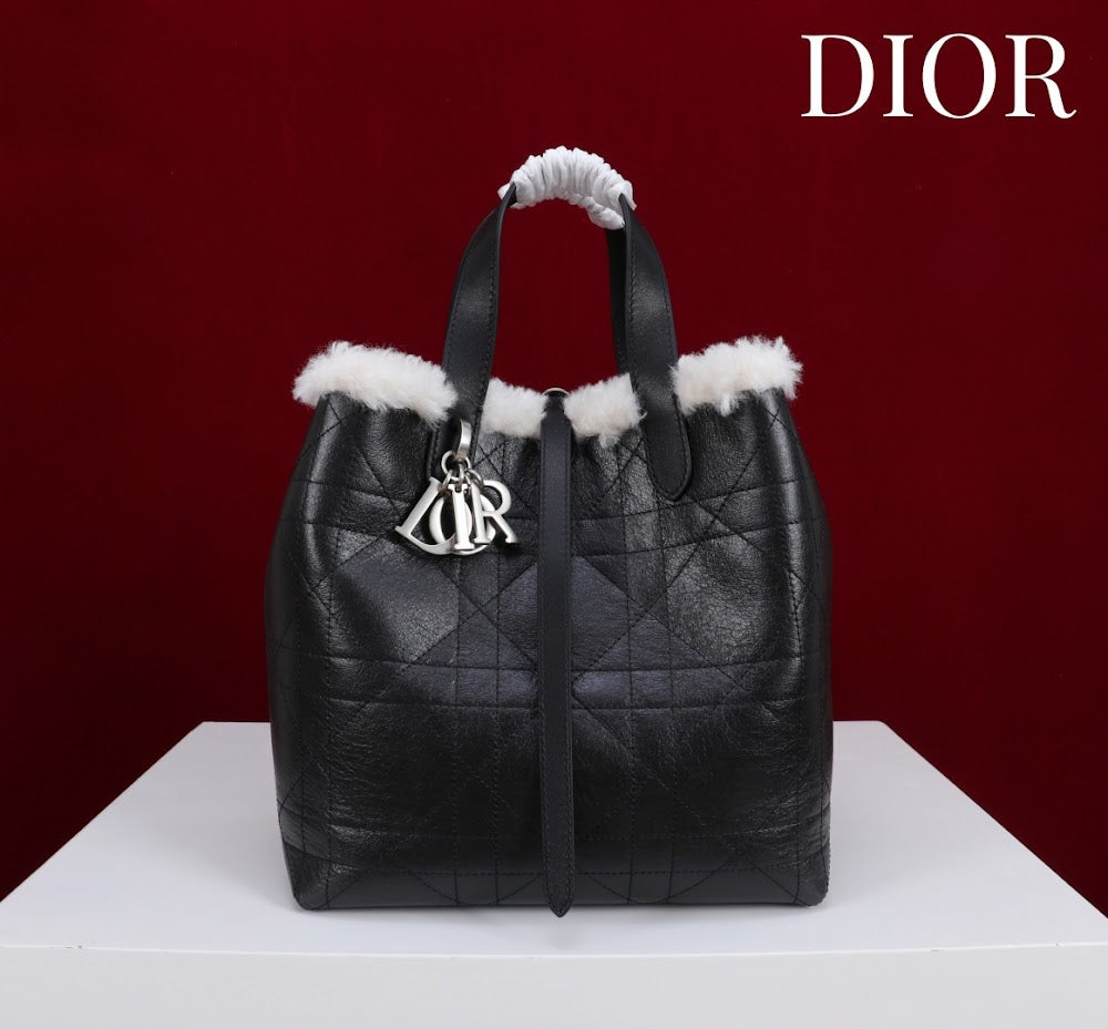 Anum Bags Diorn Luxury Bag --114887
