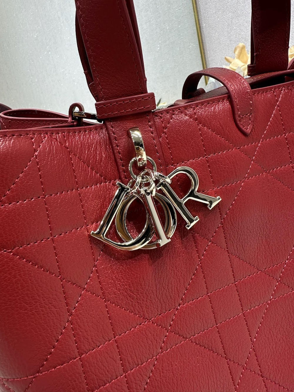 Ezyycart Bags Diorn Luxury Bag --116135