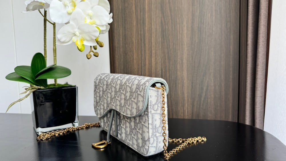 Ezyycart Bags Diorn Luxury Bag --115034