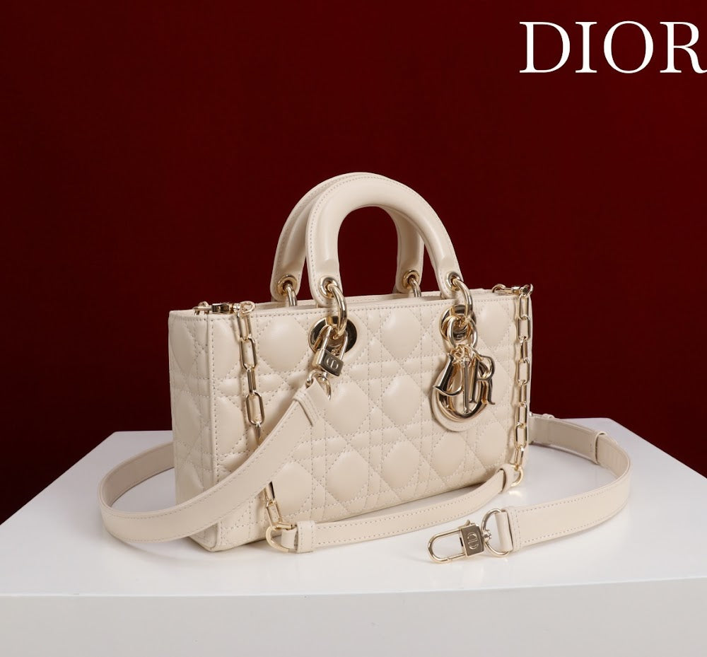 Ezyycart Bags Diorn Luxury Bag --115621