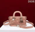 Anum Bags Diorn Luxury Bag --114748