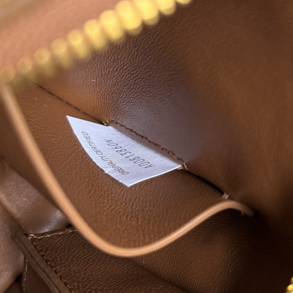 Ezyycart Bags Bottegan Luxury Bag --91211
