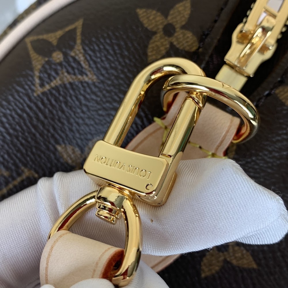 Anum Bags ln Luxury Bag --58977