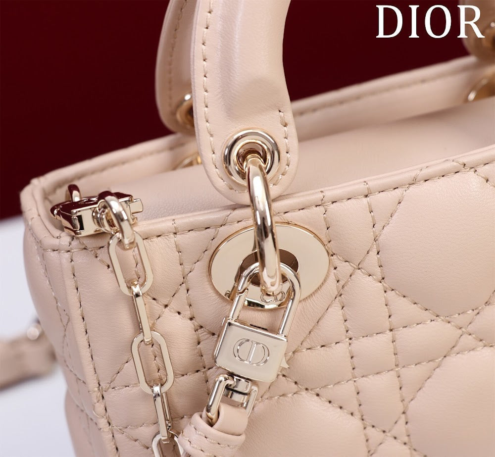 Ezyycart Bags Diorn Luxury Bag --116448