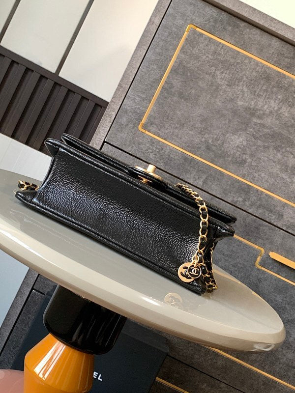 new-designer-premium-bags-nm20012