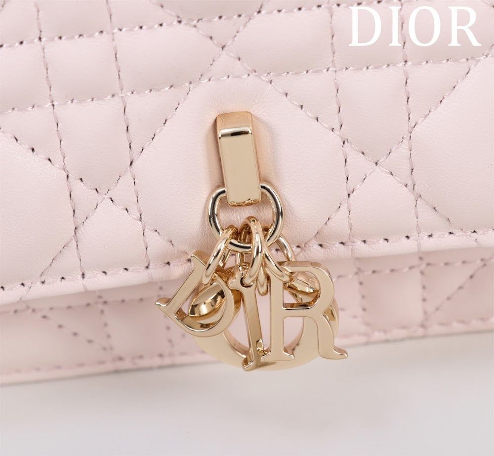 Ezyycart Bags Diorn Luxury Bag --116244