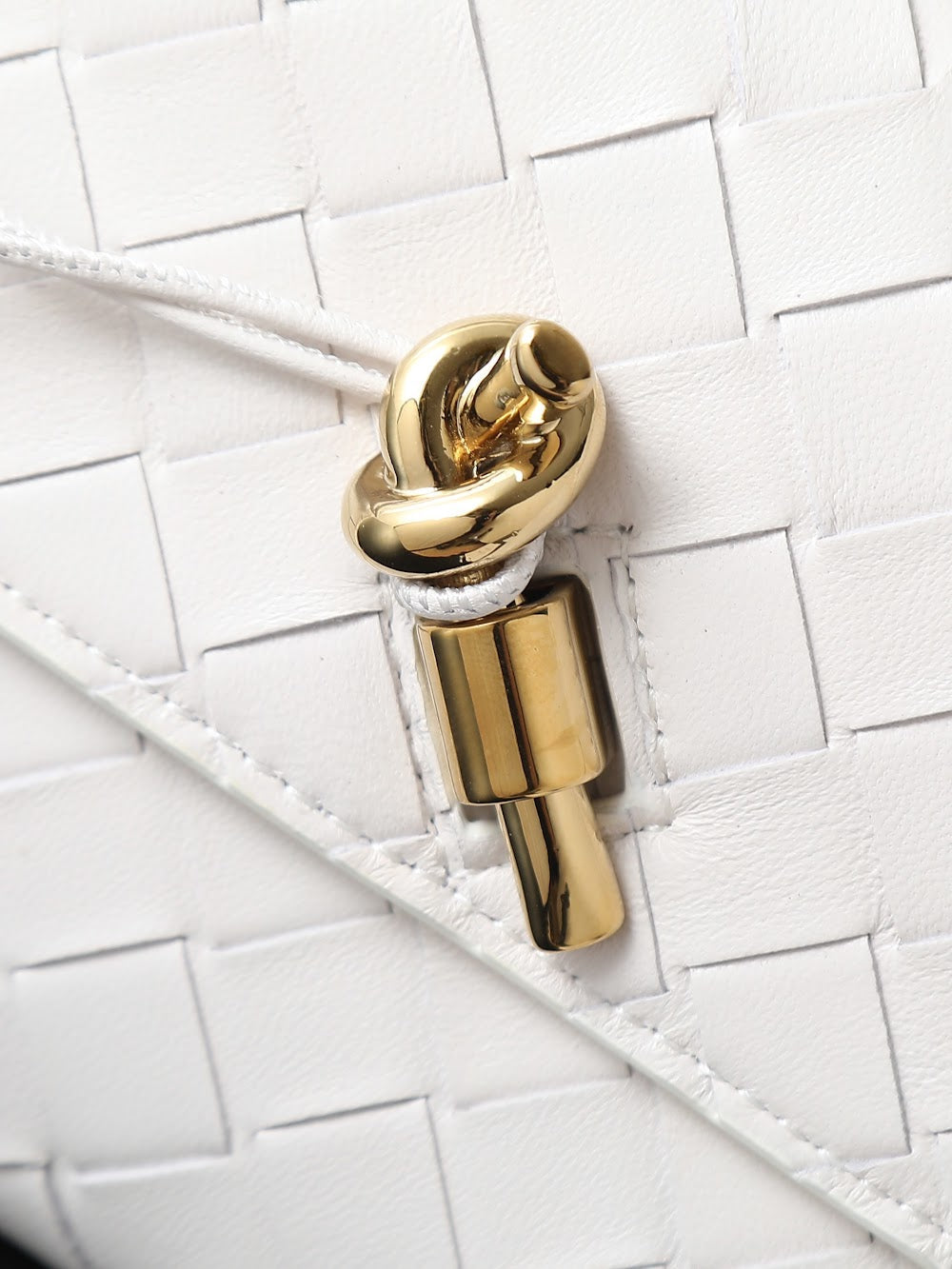 Ezyycart Bags Bottegan Luxury Bag --91386