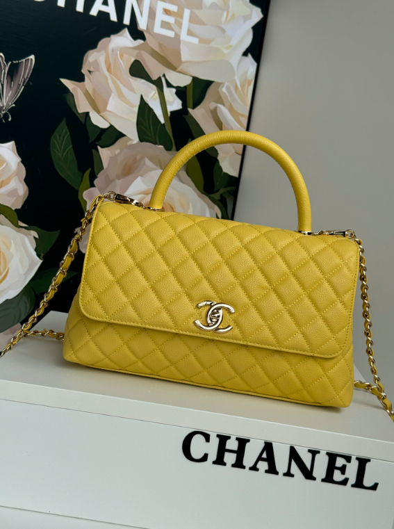 new-luxury-designer-bags-nm10232