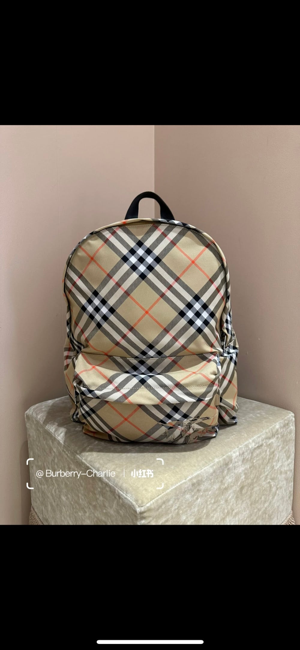 Ezyycart Bags Burberryn Luxury Bag --93077