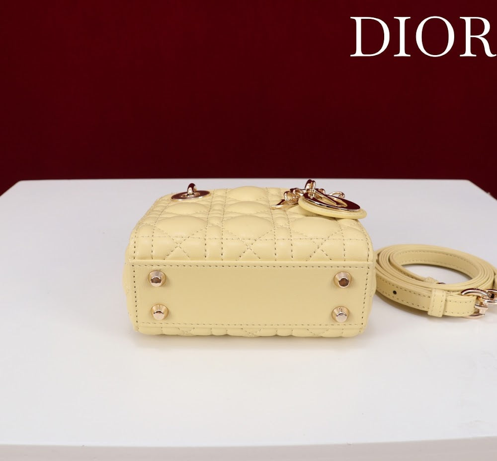 Ezyycart Bags Diorn Luxury Bag --116421