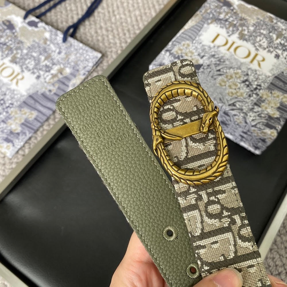 Anum Bags Diorn Luxury Belt --104888