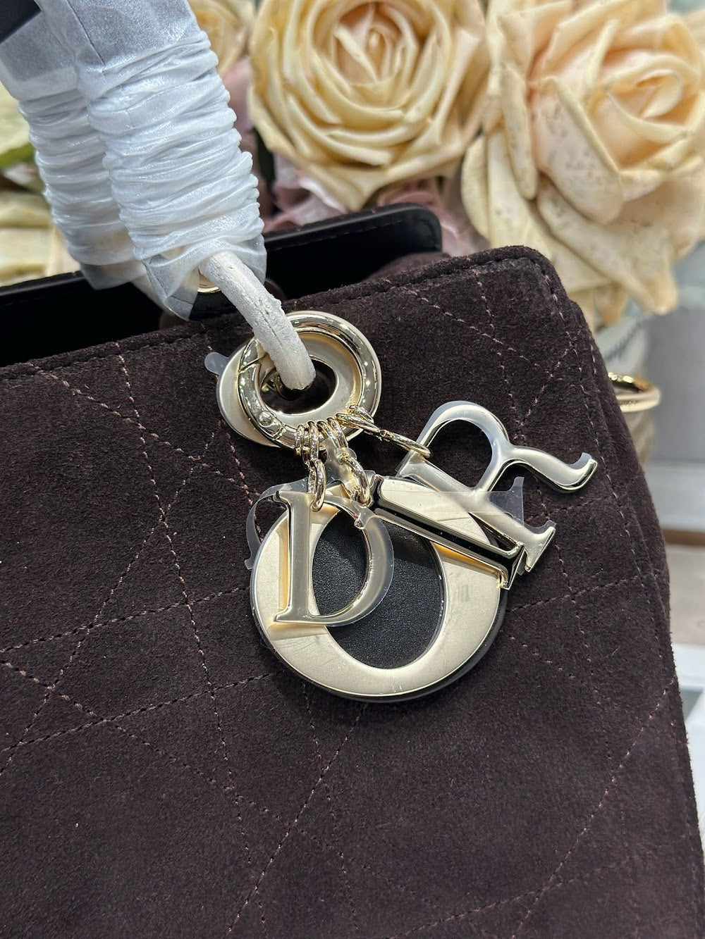 Ezyycart Bags Diorn Luxury Bag --115569